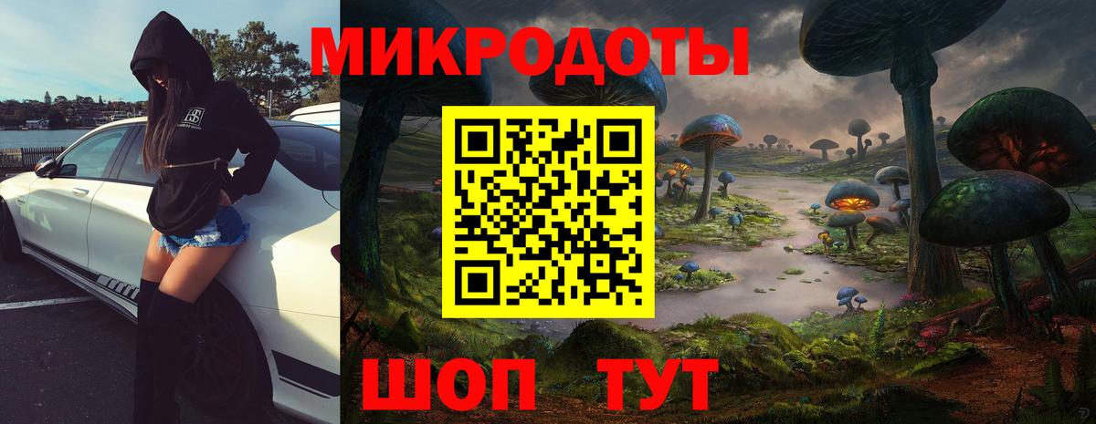 Псилоцибиновые грибы Psilocybine cubensis  Вход с VPN  Лабытнанги 
